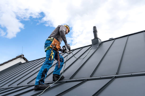 Best Metal Roofing Installation  in King George, VA